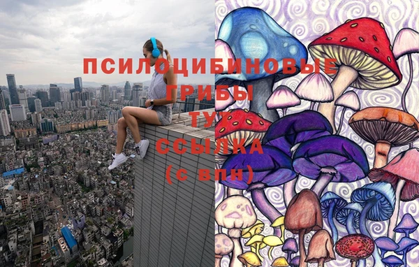 крисы Алексин