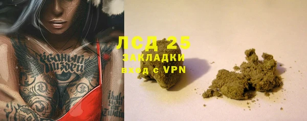 крисы Алексин