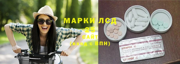 крисы Алексин