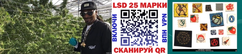 Марки N-bome 1,8мг  наркотики  omg tor  Камешково 